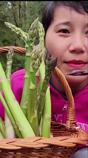 Ăn măng tây hái vườn nhà giòn rụm | Nhung Ha Cuoc Song My