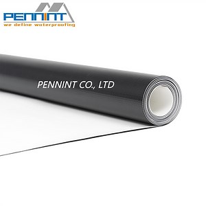 [Hot Item] Flexible Tpo/ Fpo Waterproofing Membrane