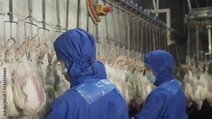 Muslim men recite a prayer during meat production in halal chicken meat industry. Poultry processing industry. Halal Raw chicken meat production line. Poultry processing plant.