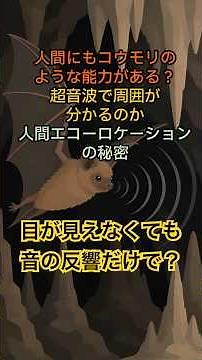 人間にもコウモリのような能力がある？超音波で周囲が分かるのか 人間エコーロケーションの秘密