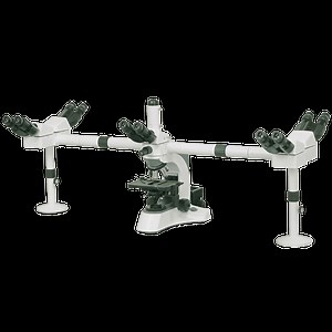 [Hot Item] Microscopio de enseñanza Multi Cabezal Boshida con 3 Cabezas o 5 Cabezas con puntero