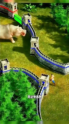 Hippo 🦛 Got Angry 😡