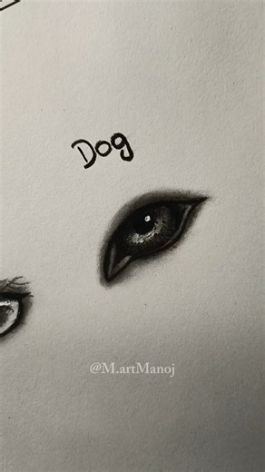 drawing eyes tutorial (cat and dog)‪@M.artManoj‬ #shorts #drawing #eyes #tutorial