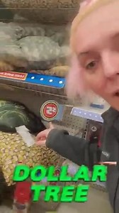 Dollar Tree just made me LOSE MY MIND 🤭😵🤔 | The Penny List by Christa Coupons