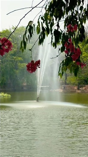 Boat mode🛶 #boating #moongirl #boatingfun #naturelovers #boatingadventures #goodvibes #boatinglake