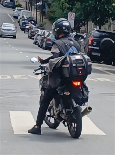 Alerta de Roubo: Ladrão de Módulo em São Paulo