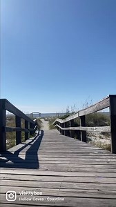 It's always beach season on Tybee Island! Winter visitors enjoy smaller crowds, lower rates and so much more... | Visit Tybee