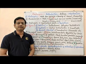 Androgen & Anabolic Steroids (Part 01) Androgen | Male Sex Hormone | Sex Hormones | Male Hormones
