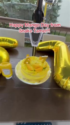 The Snake Tamer on TikTok