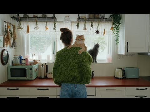 Living alone in the forest with my two cats | daily life #63