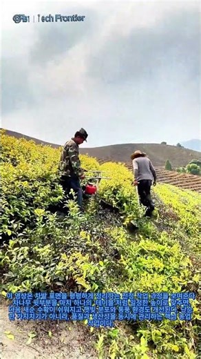 농장일 중 가장 만족스러운 작업, 찻집 "테이블" 완벽하게 다듬기: 이 찻집이 빠르고 깔끔하게 완벽한 모습을 갖추는 과정을 지켜보세요
