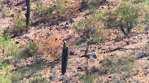 12K views | Tract Optics Australia on Reels | Facebook