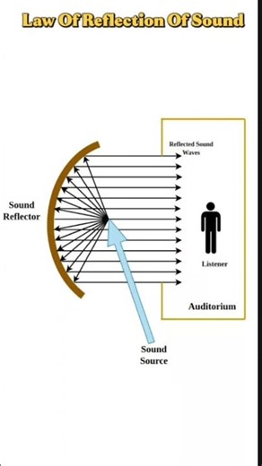 Law of Reflection of sound #science #sound #physics