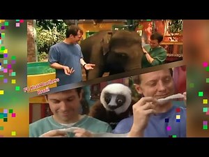 Zoboomafoo: 1x01 & 2x01 || Compilation