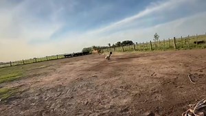 Hector Suarez on Reels