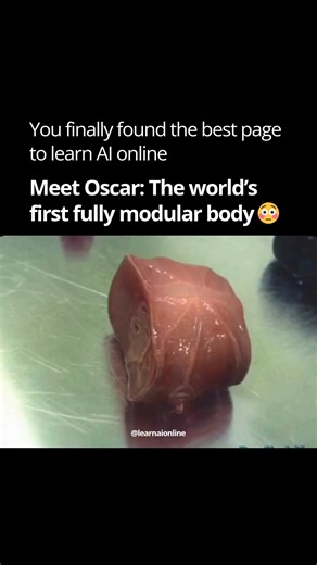 Artificial Intelligence | ChatGPT | Technology on Instagram: "Meet Oscar. The modular body built to be taken apart, upgraded, and rebuilt like a living toolkit. Every limb, joint, and component snaps on and off so engineers can reshape him in minutes. It’s not just a robot. It’s a platform. A body that evolves. A machine built to adapt to any task, any environment, any future. This is what robotics looks like when flexibility becomes the priority. Content belongs to its rightful owners. Shared h