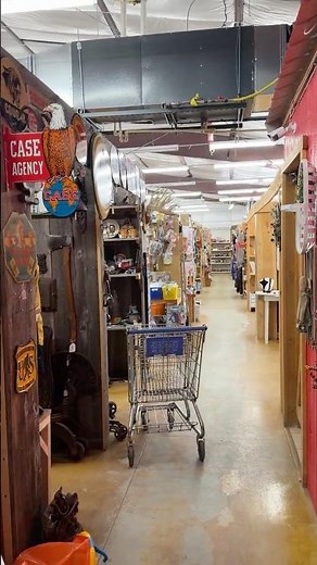 2026 01 17 Crazy Frank’s Flea Market in Readstown, WI – 300 Vendors | Hidden Gems