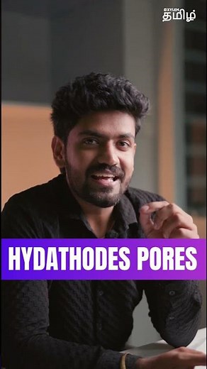 How Root Pressure & Guttation in Plants: Why Leaves Drip Water at Night #plants #xylem #phloem