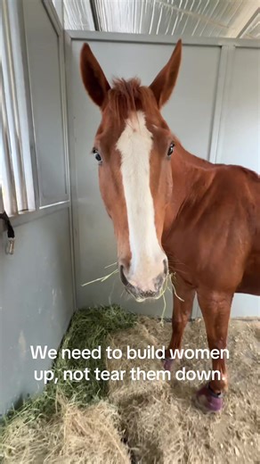 Yall need to stop. If you have nothing nice to say, don’t say it AT ALL. EVERYONE was a beginner at some point. I was. You were. They are. We are all here living out a dream and that dream is to ride horses. Don’t be an ass hat. #blueponyclub #horsetok #horse #adultammy #adultbeginnerrider