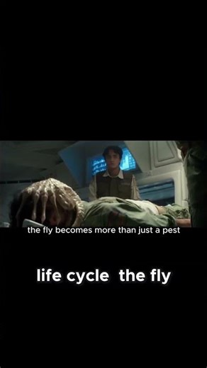 You Won’t Believe How Alien Flies Really Are! 🐝🛸