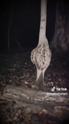 IMG_1185.MOV | the rake