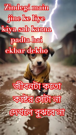 #dog #islife #love #youtubeshorts #cat #shortsviral #short