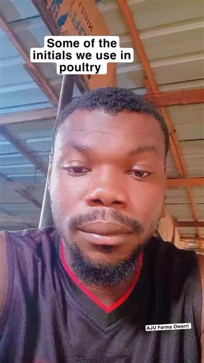 3.3K views · 83 reactions | Some poultry initials you should know. #ajufarmsowerri #poultryfarm #reelstrending #chicken #broilers #owerri #poultry #poultrylife | A. J. U Farms Owerri imo state | Facebook