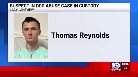 UPDATE: Suspect in Lacy Lakeview dog abuse case in custody