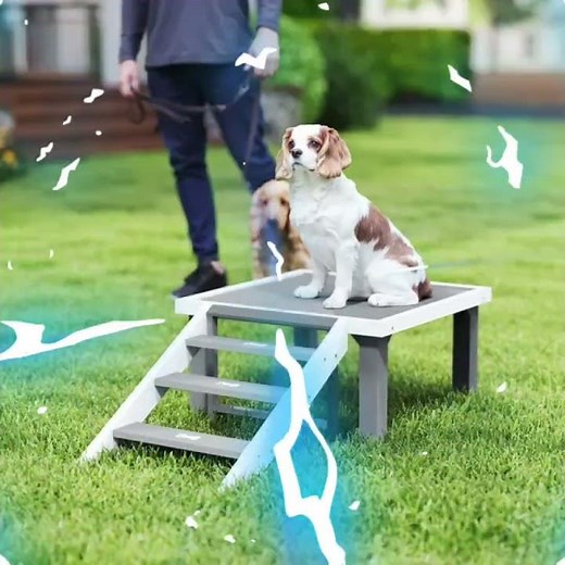 Wooden Dog Training Platform with Ladder | Indoor & Outdoor Pet Agility System