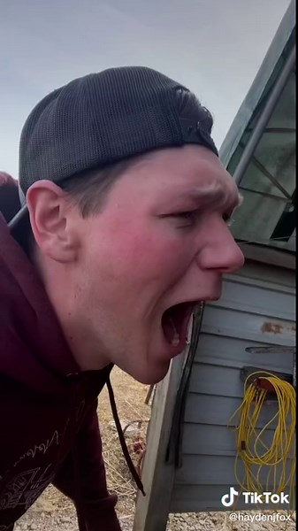 Hayden Fox on TikTok