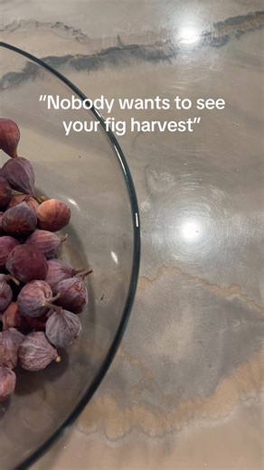 Time to make some fig jam 🤤 #gardentok #fig #harvest