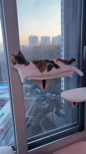 Tail conductor 😘😻