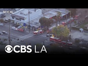Tree trimmer falls and dies in Canoga Park