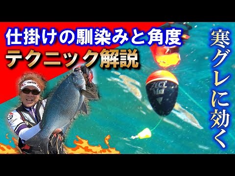【絶対釣れる】寒グレに必須の半遊動仕掛けテクニック！仕掛けの馴染みと角度について徹底解説