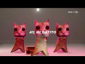 [10 HOURS] ay mi gatito miau miau tiktok | MONTAGEM MIAU (Letra)