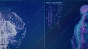 Human skeleton models on computer screen. Looking for injury. Futuristic laboratory research