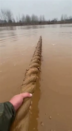 Python Explodes Out of River