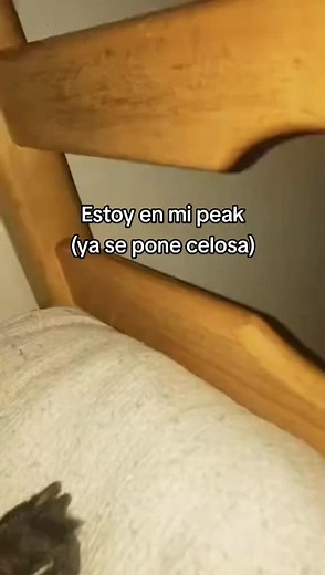 #paratiiiiiiiiiiiiiiiiiiiiiiiiiiiiiii #Viral #fyp