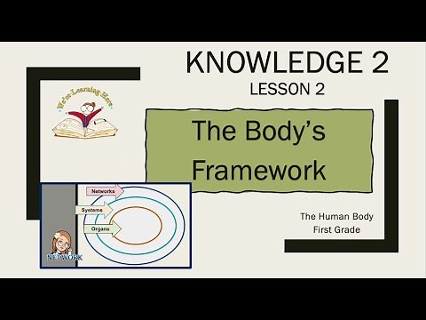Kn 2 Ls 2 The Bodys Framework