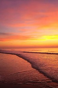 82 reactions |  STOP SCROLLING  And watch this Murrells Inlet scene. Getaway dreams do come true on the Hammock Coast: https://bit.ly/hammockcoast. : @__just_beachy__ Supported by Discover South Carolina | South Carolina's Hammock Coast | Facebook