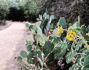 Hittin' The Trails In San Marcos, Texas
