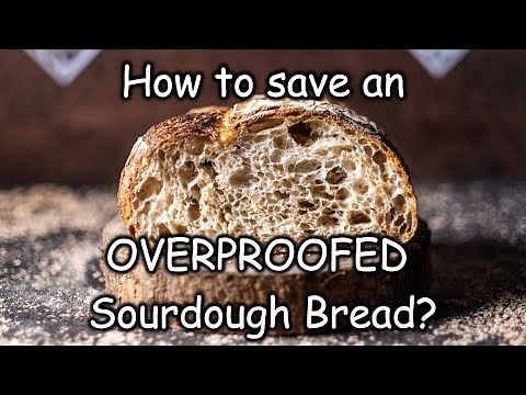 How to save an OVERPROOFED sourdough bread?