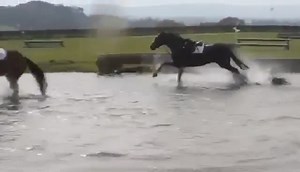 3.8M views · 53K reactions | FRIDAY FAILS 藍藍藍 We enjoyed this one, thanks to our colleague  Are you sure you’re ready for this seasons eventing!? #eventinghorse #horserider #fails #equestrian #equestrianlife #horsefails #horselife #highlights #failfriday #horseshop #equestrianstore | Equitogs | Facebook