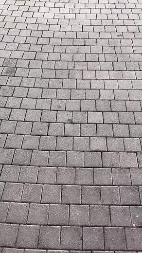 Les attractions incroyables du Futuroscope - Notes et avis