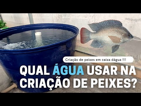 What type of water should be used for fish farming? Fish farming in water tanks (Lesson 2).