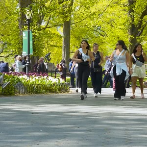 1.4M views · 64K reactions | Farting on People in Central Park | HumorBagel | Facebook