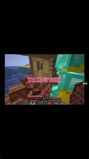 Weekend Minecraft Clips