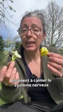 [PRIMEVER DEAD END] #foraging #wildplants #garden #chef #ppam