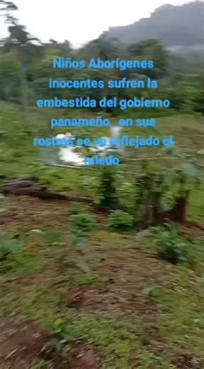 Videos de Israel.gonzales (@israel.gonzalez.0) con “sonido original - Israel.gonzales”