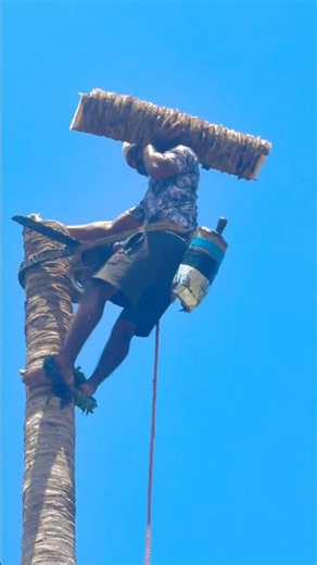 7358911306 Love Tree Cutting Service